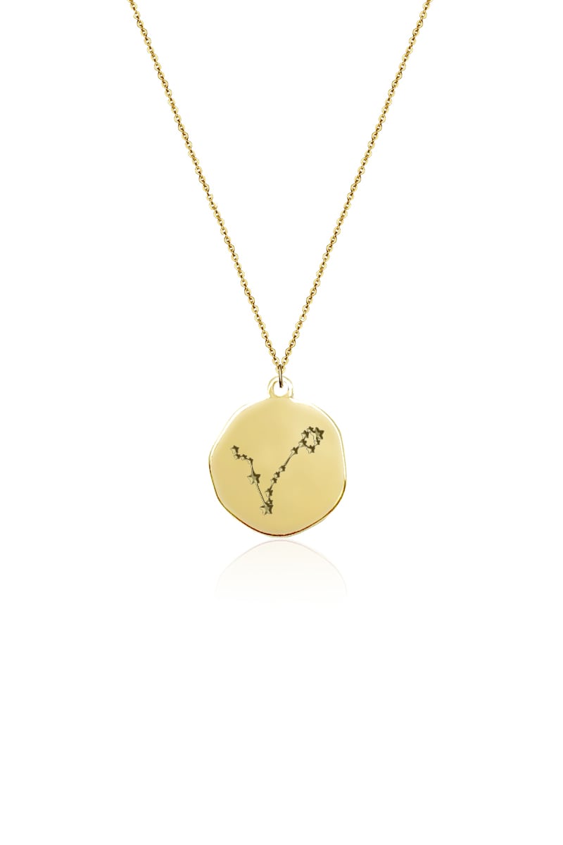 Pisces Constellation Gold Necklace